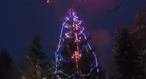 Под звуците на коледарски песни грейна елхата в Ценово