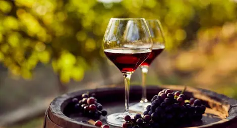Червеното вино е по-здравословно - неверните митове за напитката на боговете