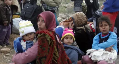 Заловиха 20 бежанци край Монтана