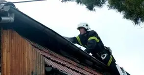 Спасители свалиха от покрив избягала котка и стопанката й