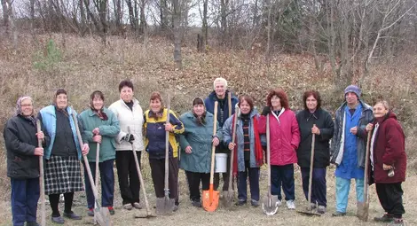 Залесяват Бог баир с борчета, липи и млади тополки