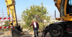 Пешеходен надлез свързва „Чародейка“ и „Родина“