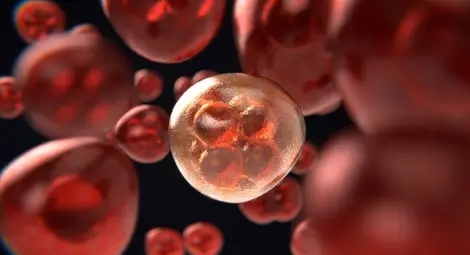 Учени създадоха антибиотик срещу рак Учени създадоха антибиотик срещу рак