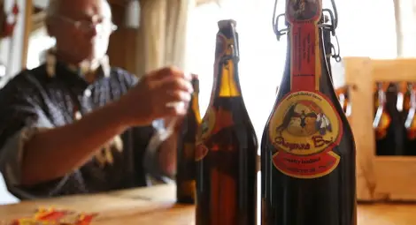 Пуснаха бира за кучета Пуснаха бира за кучета