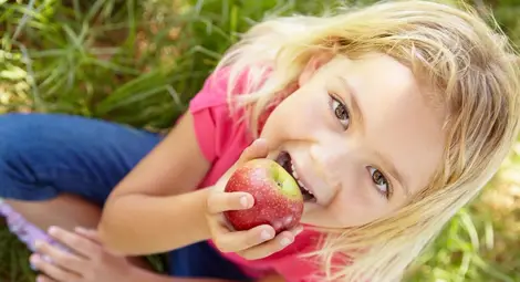 438 фирми доставят плодове, зеленчуци и мляко в училища и детски градини