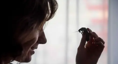 Хлебарки с имена на бивши гаджета &ndash; подарък-отмъщение за Св.Валентин