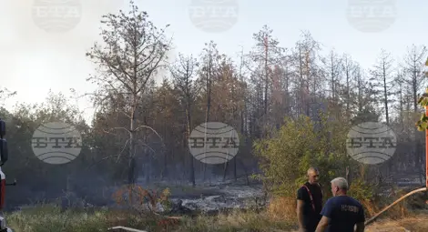 Снимка: БТА