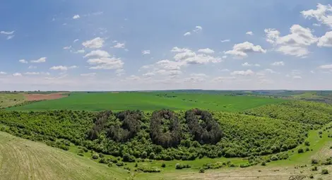 Новото засаждане на изпепеления зелен символ &bdquo;1300&ldquo; - най-рано след година