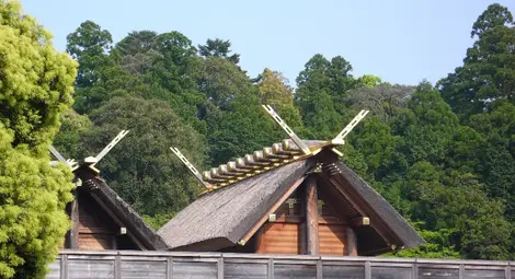 Кои са най-тайнствените и недостъпни места в света (видео)