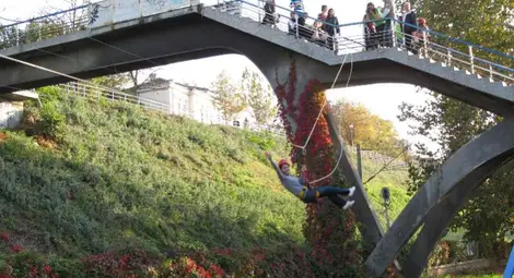 Еколози от Русе изпълниха "Полет на прилепа" на брега на Дунав /галерия/