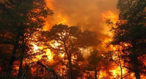 Пожарът край село Дрипчево е ограничен