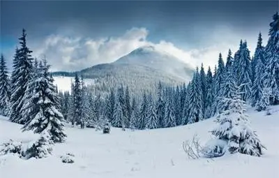 Жена инвалид на инсулин почина в Ардинско