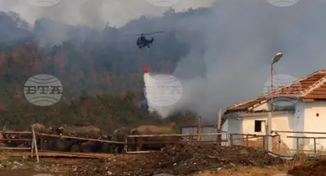 Снимка: БТА