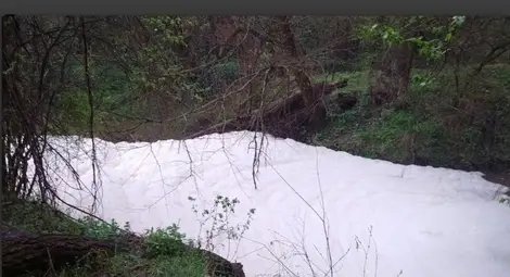 Замърсяването на Черни Лом стигна до парламента Замърсяването на Черни Лом стигна до парламента