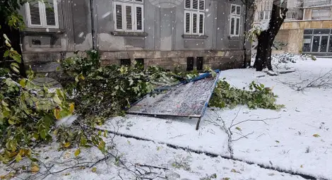 Снимка: БТА