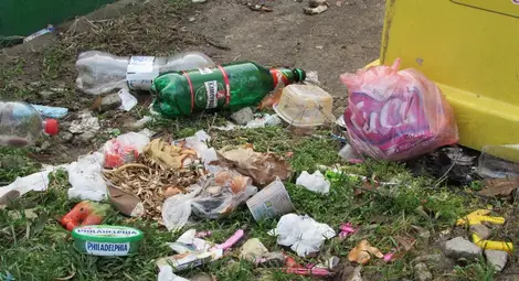 Фирмите по чистотата глобени с половин милион заради камарите с боклук в Русе