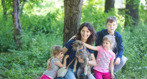 Фотосесия на кучета от приюта  търси домове за четирикраките