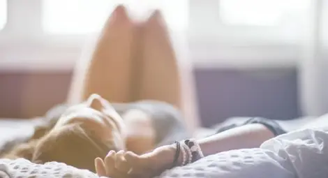 Да изкарваш 2000 лева, докато спиш? Може! В България...