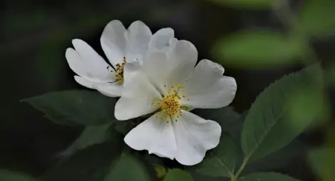 Жълт и оранжев код за вятър днес, от минус 3 до 30 градуса през април