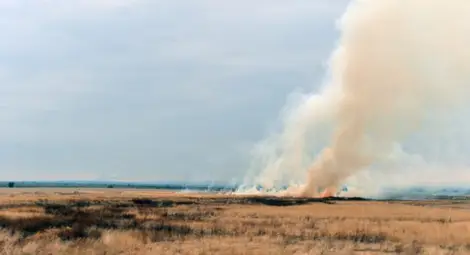 Българинов: Създават се комисии, правят се гръмки предложения, но еко терорът остава Българинов: Създават се комисии, правят се гръмки предложения, но еко терорът остава