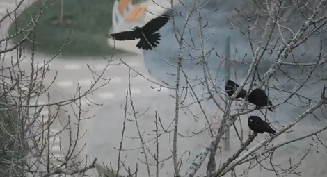 Над страната ще продължи да прониква по-студен въздух, по-топло ще е в Югозападна България