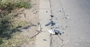 Диво животно обърнало кола с петима души