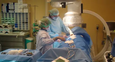 До 100 хил. евро годишно печелят родни кардиолози във Франция