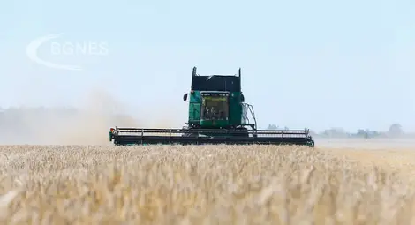 Politico: Световната продоволствена криза е на път да се задълбочи Politico: Световната продоволствена криза е на път да се задълбочи