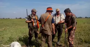 Ловците дадоха две седмици отсрочка за разрешението да излизат за глигани с кучета