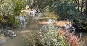 Общински съветник сигнализира за опасен „остров“ в Русенски Лом в Басарбово