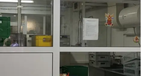 Десетки нарушения в кухни, осигуряващи храна за детски градини и училища