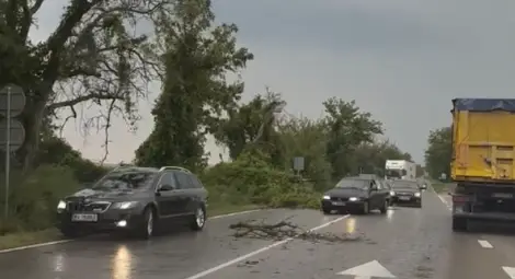 Паднали дървета и близо 5000 души за кратко без ток след бурята в Русенско Паднали дървета и близо 5000 души за кратко без ток след бурята в Русенско