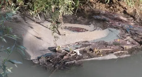 Русенски Лом всеки ден тече в различни цветове