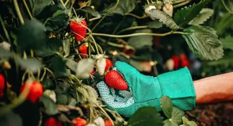 Температури до 27&deg; ни очакват в сряда