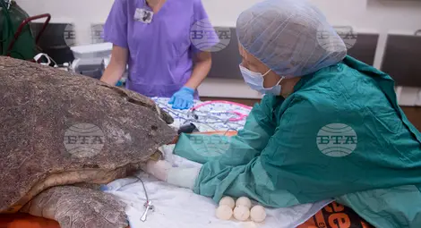 Снимка: БТА Снимка: БТА