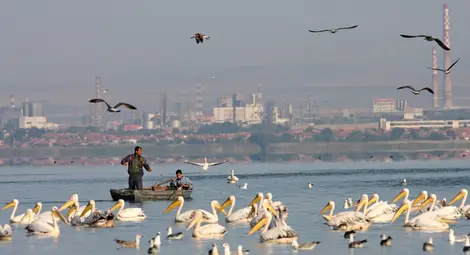 2 февруари - Световен ден на влажните зони