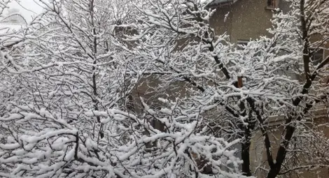 Оранжев код за валежи в седем области утре