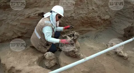 Снимка: БТА Снимка: БТА