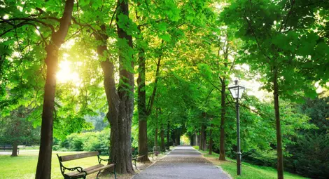 Община Русе се допитва до гражданите за изграждането на нов парк в кв. "Здравец" Община Русе се допитва до гражданите за изграждането на нов парк в кв. "Здравец"