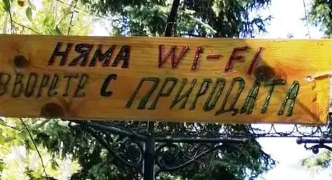 Един ден без телефони и интернет: Канят деца да рисуват и да научат как се оцелява сред природата