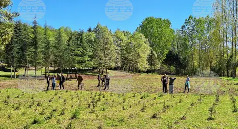 Снимка: БТА