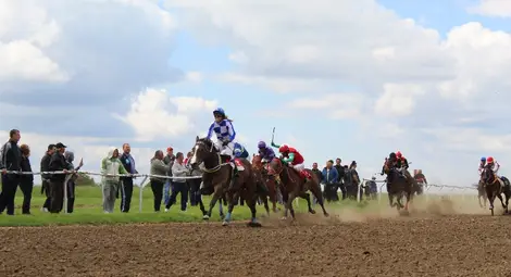 Сандрово събра хиляди зрители на голям турнир по конни надбягвания
