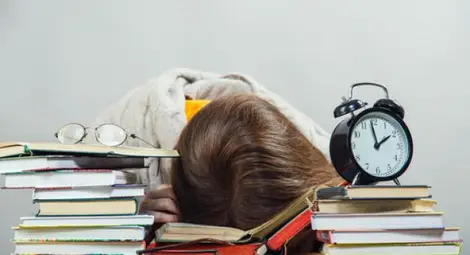 Вместо виц: Кандидатстудентски бисери