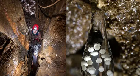 Вдъхновена от Русе изложба е открита в &bdquo;Земята и хората&ldquo;