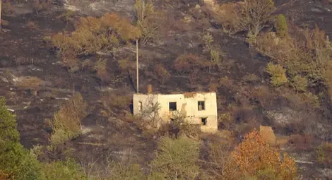 Еко-катастрофа след пожара край Кресна, горял на площ от 15 000 декара Еко-катастрофа след пожара край Кресна, горял на площ от 15 000 декара