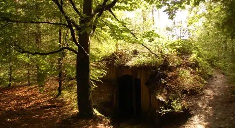 Руснак се крил 4 години в землянка, за да не плаща издръжка за децата си