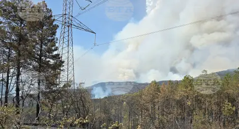 Снимка: БТА Снимка: БТА