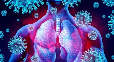 Учени призовават за ново разследване за произхода на коронавируса Учени призовават за ново разследване за произхода на коронавируса