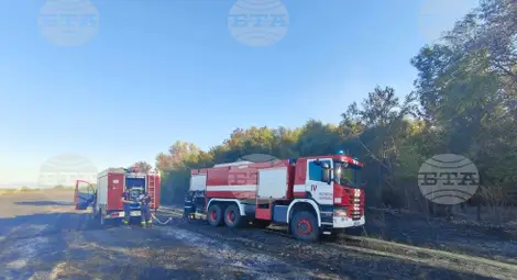 Снимка: БТА Снимка: БТА