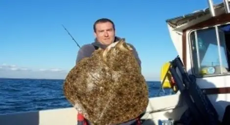 Уловиха калкан-гигант в Несебър